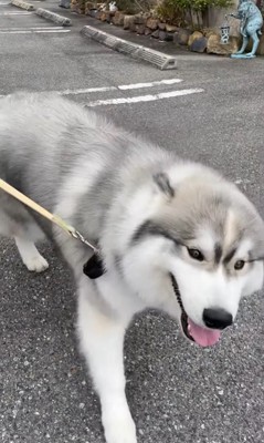 蓮くんの赤ちゃん時代と成長後の姿9