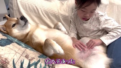 おへそが気になるモモ子ちゃん