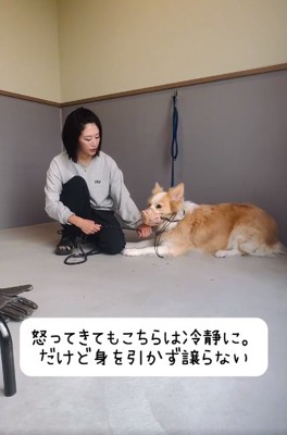 冷静な投稿主さん