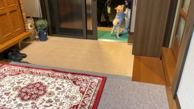飛びついて熱烈歓迎！