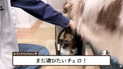 お別れを惜しむ2匹