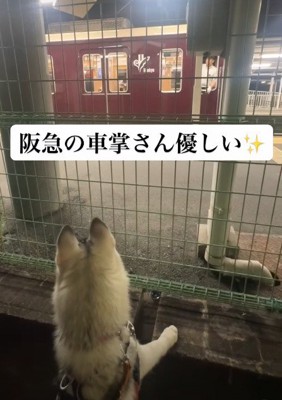 釘付けになっていたら…