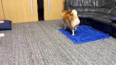 「そういえば用事が…」