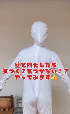 壁と同化したらコロちゃんは気づく？