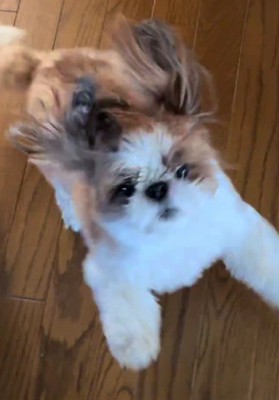突然テンションMAXに♪