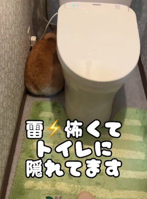 なんとトイレの中！！