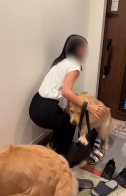 歓迎する大型犬