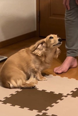「ごめんなさい!」と上目遣い