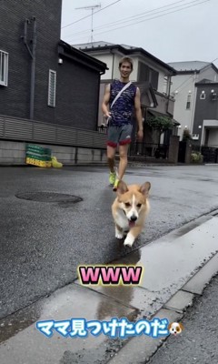 大好きなママと無事に再会