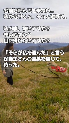 飼い主が持っているゴルフボールに向かって走る犬