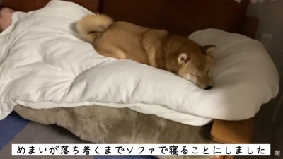 ちょっと重たいかも…