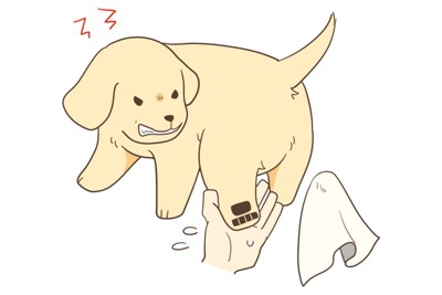 足拭きで怒る犬のイラスト