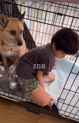 戸惑っているよう…