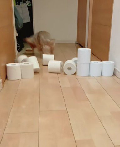 全部崩れたけど…