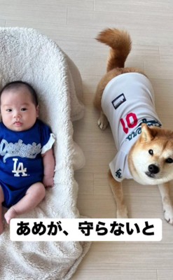 「守ってあげなくちゃ」