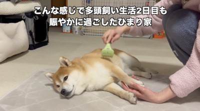 ヤキモチ、可愛すぎます…！