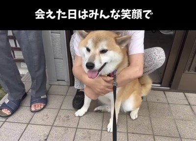 人に抱かれて笑顔を見せる犬