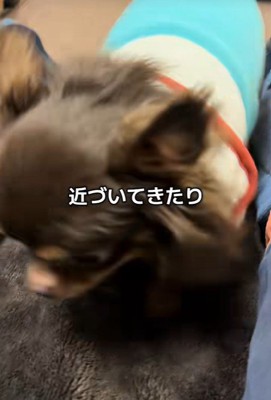 テープくんの変化5