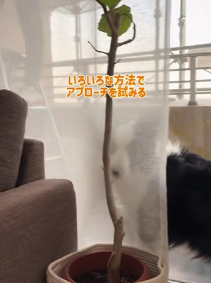 アピール方法を変えてみる