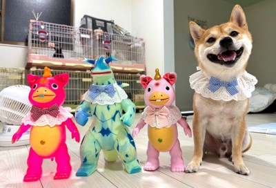 わさびちゃんの日常2