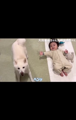 はしゃぐおまめ君&笑う赤ちゃん5