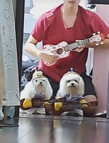 ライブが始まりそう…!