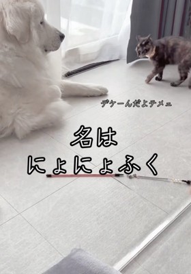 尋常ではないやる気