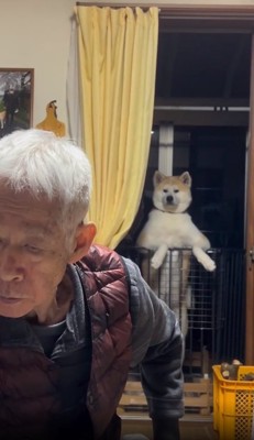 何かをとるおじいちゃん