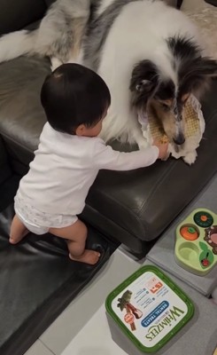 ガムをつかむ赤ちゃん