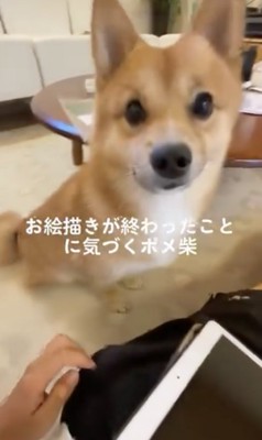 改めてじーっ…