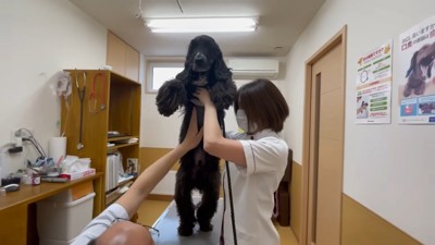 診察はすぐに終了