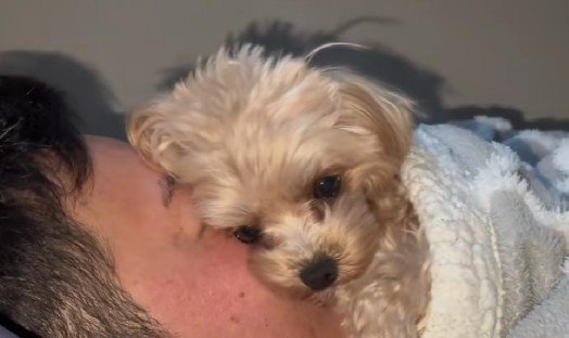 ラテちゃんの姿が!!