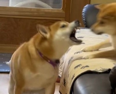 鬼のような形相に…