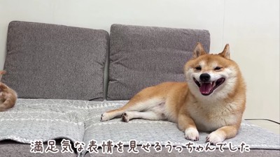 大満足のうにくんでした