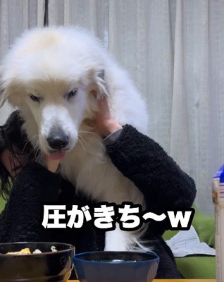 背後霊のようにしつこく…