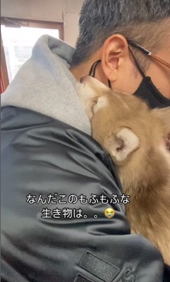 茶々丸くんと飼い主さんの出会い8