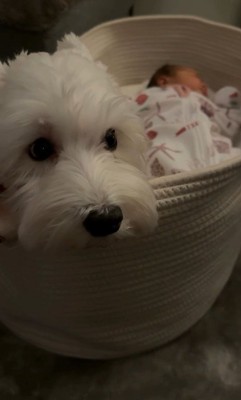 2人でバスケットの中に♡