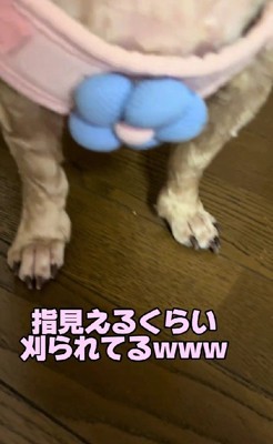 指の主張すごい