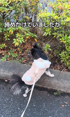 無理に出さない方がいいのかも…
