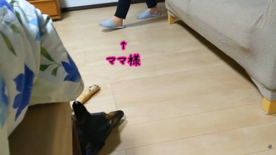 ママさんも寝室にやってきました