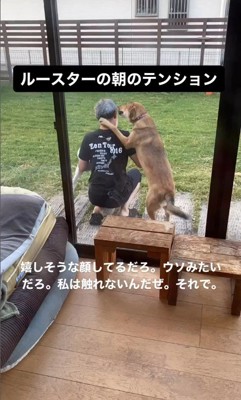 ルースターちゃんと旦那さん