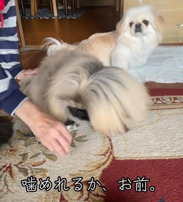 すっかり仲良しになった♡