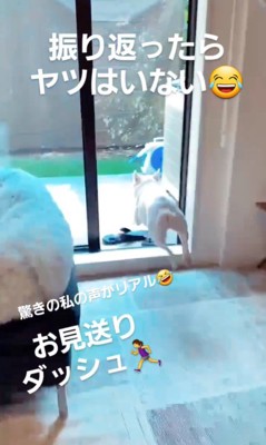 やまわきさんのお見送り8