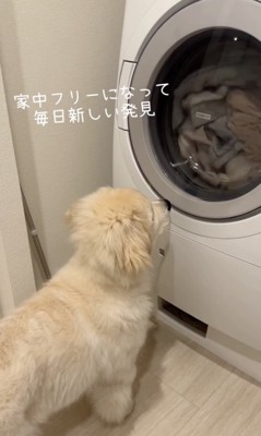 可愛すぎる