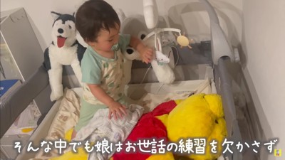 お世話のシミュレーション
