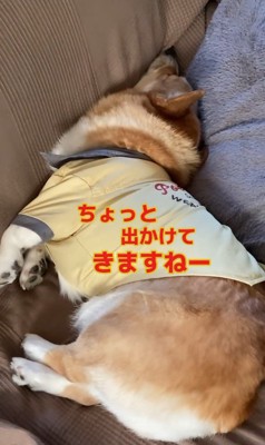 外出時のチリちゃんの対応の違い6