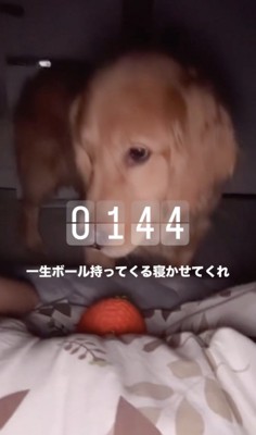 「すいませんけど…」