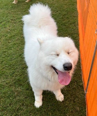 穏やかな笑顔が可愛い♡