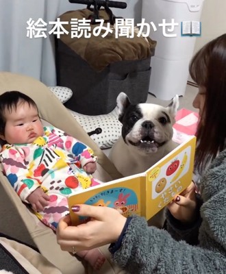 読み聞かせする犬