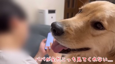 ママを見るおからちゃん